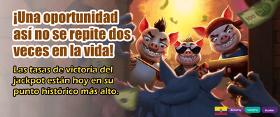 Cargas rápidas y seguras hoy